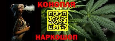 jwh Новозыбков