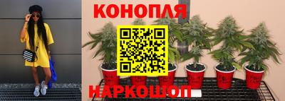 молекула духа Новокубанск