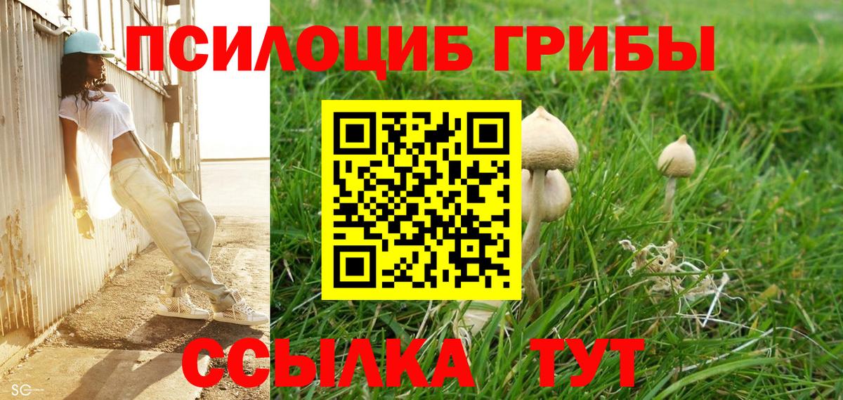 Псилоцибиновые грибы мухоморы Осинники